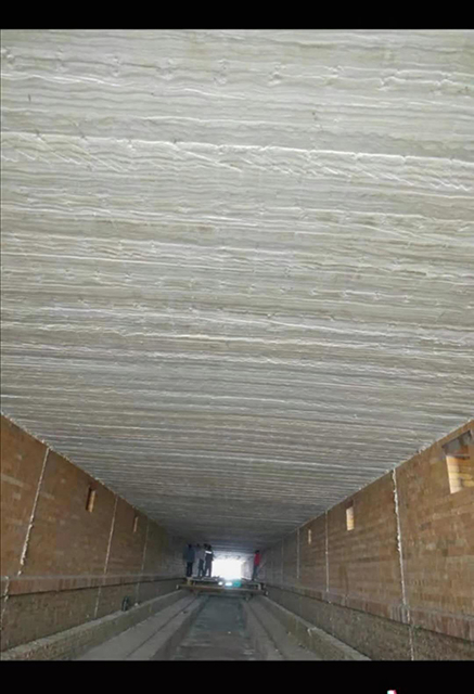 Уголь завода вращающейся печи тоннеля кирпича глины для процесса обжига сушки кирпича керамики кирпича глины в Южной Африке